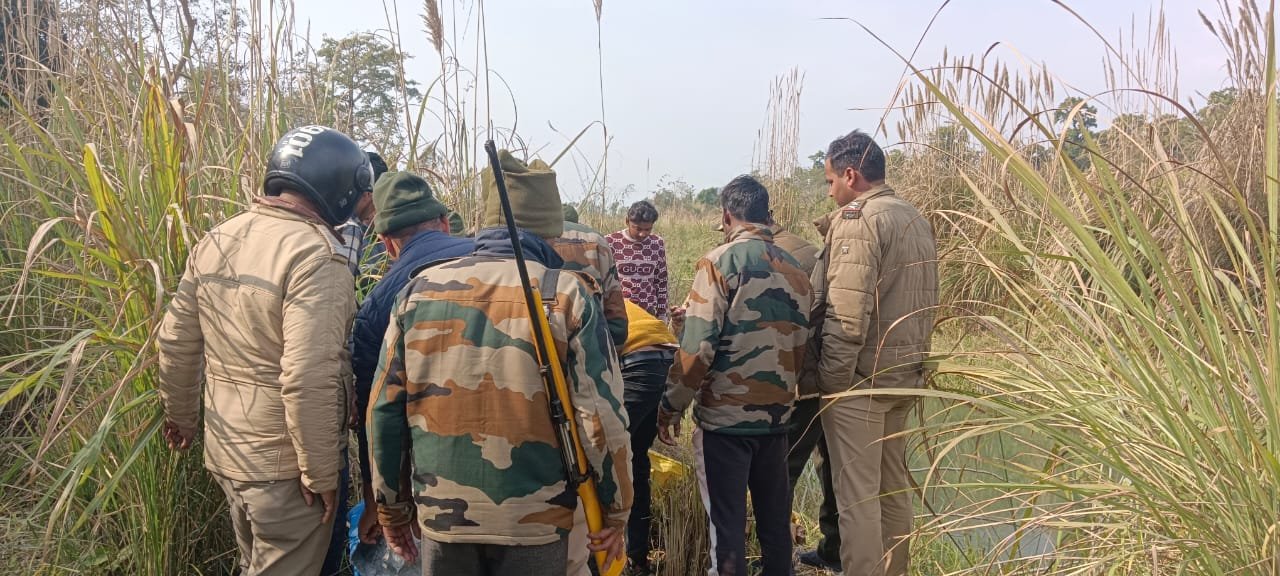 नदी किनारे मृत बाघ मिलने से वन विभाग सतर्क, मौत के कारणों की जांच जारी