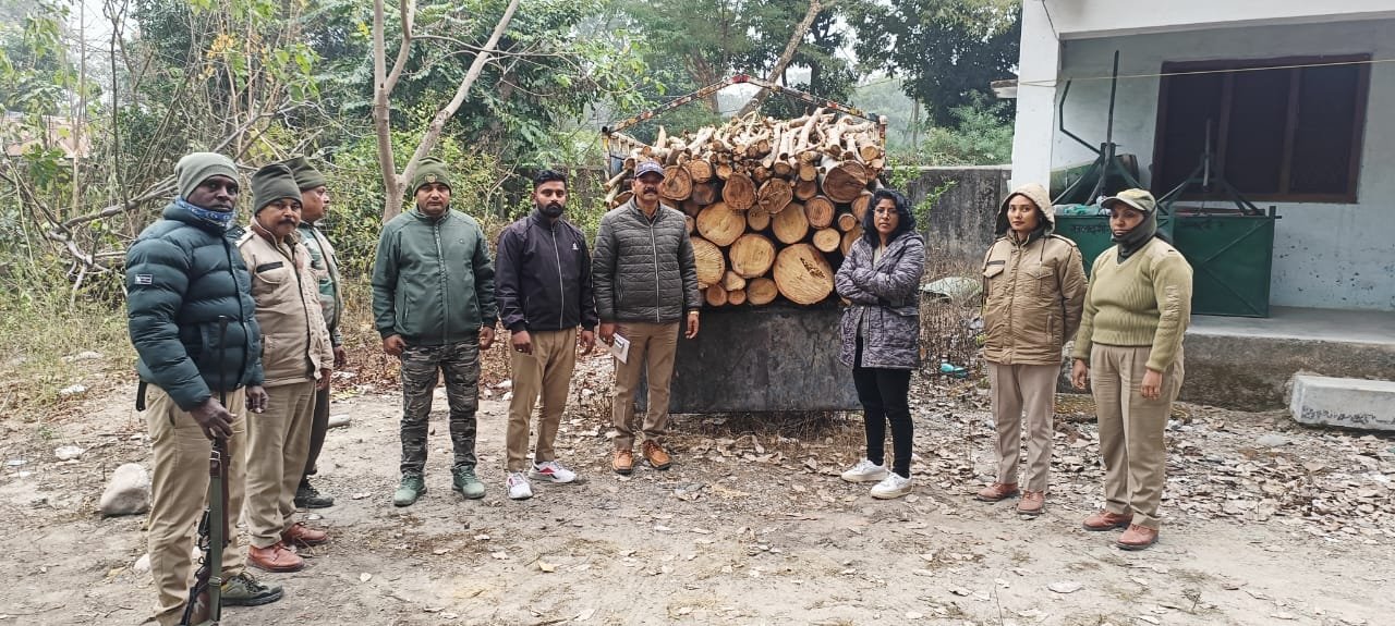 बिना अभिवहन पास के पिकअप में लकड़ी ले जाते पकड़ा, वन विभाग की बड़ी कार्रवाई”