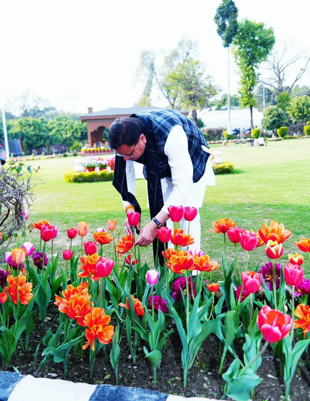 मुख्यमंत्री पुष्कर सिंह धामी ने किया फूलों का अवलोकन, ट्यूलिप खेती को बढ़ावा देने पर दिया जोर