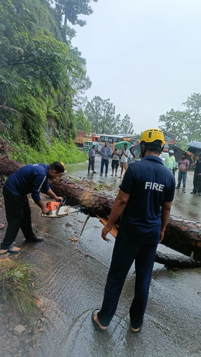 नैनीताल रोड डोलमार पर गिरे पेड़ को अग्निशमन दल ने हटाया, यातायात बहाल।