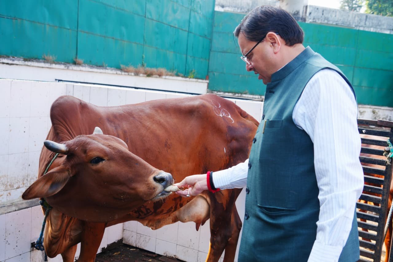 मुख्यमंत्री धामी ने की गोवर्धन पूजा, प्रदेश की खुशहाली और गौ-संवर्धन की कामना