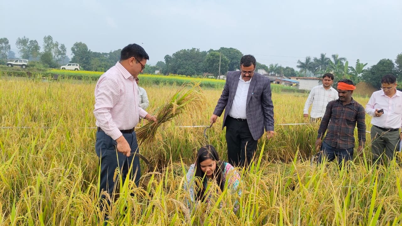 क्रॉप कटिंग से तय होगी किसानों की आमदनी और राहत नीति — कालाढूंगी में हुआ निरीक्षण।