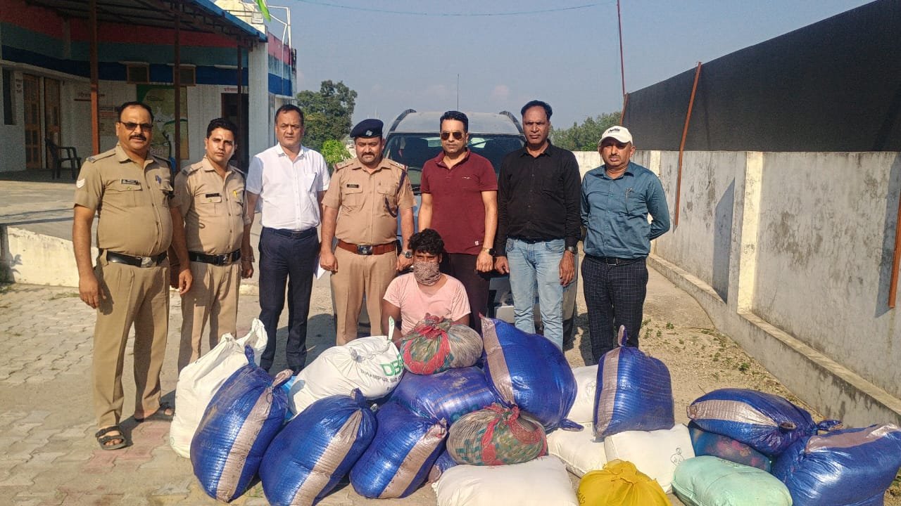 दीपावली से पहले बड़ा एक्शन: 10 क्विंटल मावा जब्त, उत्तराखंड में मिलावटखोरों पर शिकंजा