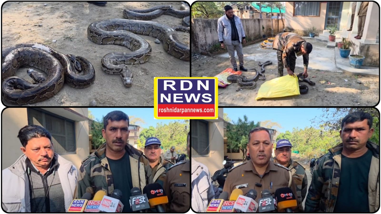 तराई पश्चिमी डिवीजन के वनकर्मियों ने दिया सरीसृपों को नया जीवन