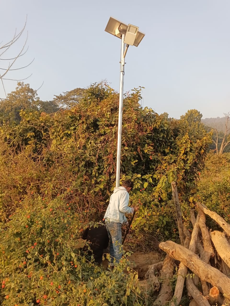 कॉर्बेट टाइगर रिजर्व की ढेला रेंज अंतर्गत ग्राम सावलदे पश्चिम में सोलर लाइट्स का वितरण*