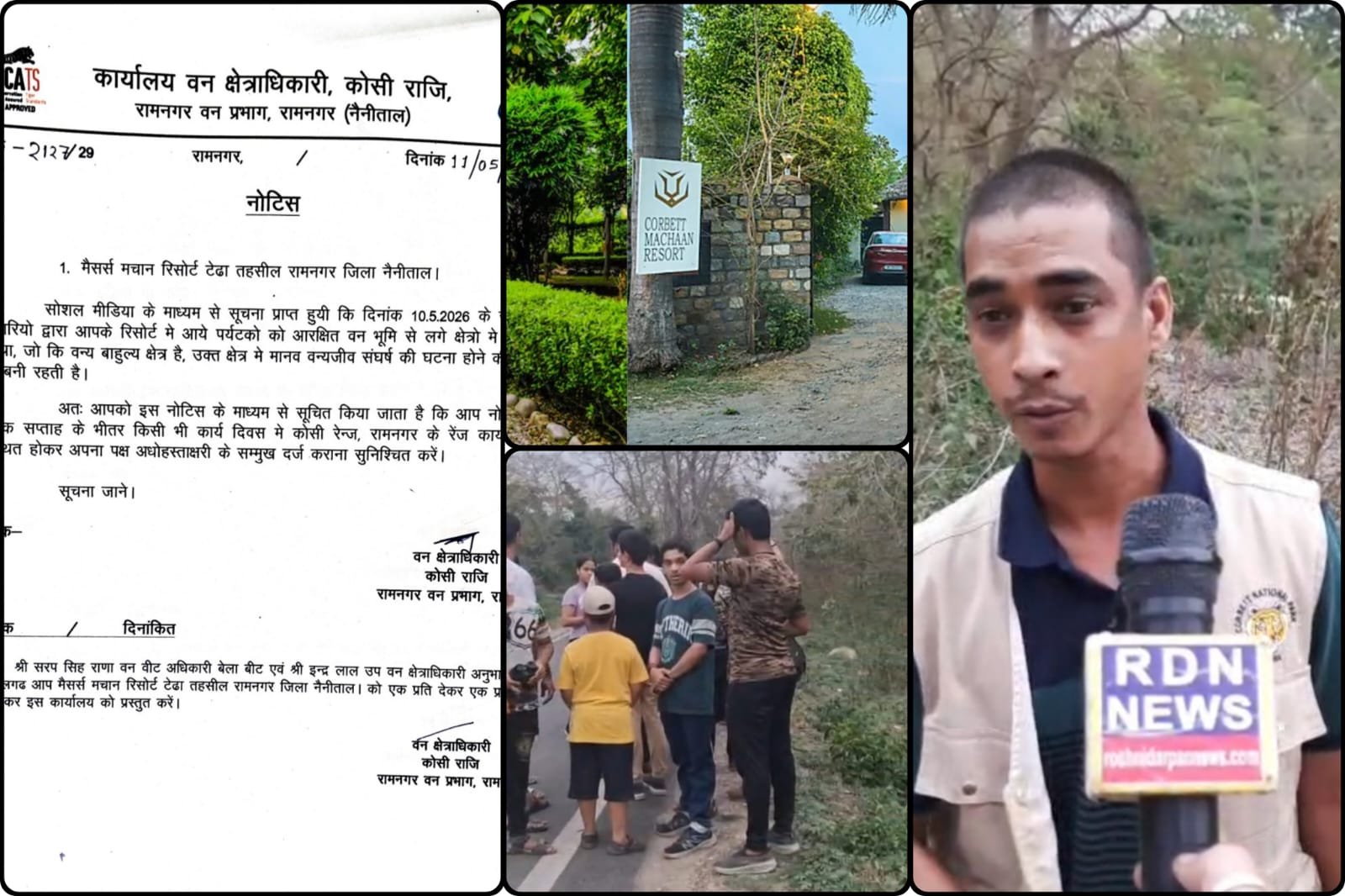 खबर का असर: मचान रिसोर्ट पर वन विभाग का शिकंजा, बाघों के इलाके में पर्यटकों को घुमाने पर नोटिस जारी  #बाघों के बीच ‘डेंजर टूरिज्म’ का खेल? मचान रिसोर्ट से वन विभाग ने मांगा जवाब